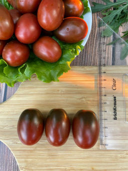 Томат СЛИВА ЧЁРНАЯ  Обсыпной! Сладкий! Холодостойкий! Лёжкий! Идеален для консервирования! - Уральский дачник фото 5