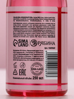 Гель для душа шампанское GRL PWR, аромат малинового вина, 250 мл, Чистое счастье фото 6