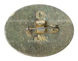 Значок Кижи  дом Ошевнева