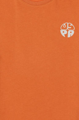 Базовая футболка с корицей для мальчиков Неожиданная скидка в корзине - U.s. polo assn фото 3