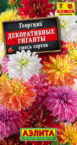 Георгина Декоративные гиганты, смесь сортов