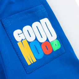 Штаны футер 2х нитка начес 1623310102