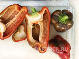 Перец сладкий Ламуйо - Партнер фото 5