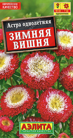 1206A Астра Зимняя вишня помпонная 0,2гр