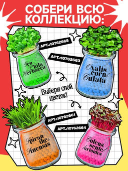 Набор для опытов Выращиваем травку своими руками, красный - Эврики фото 4