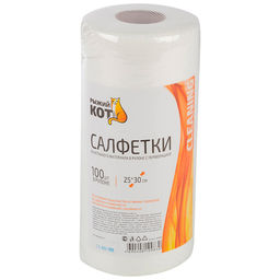 Салфетки из спанлейса в рулоне с перфорацией 25*30 см, 100 шт. арт.002925 /MALLONY/