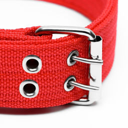 Ошейник четырехслойный, 64 х 4 см, ОШ 50-58 см, полиэстер, красный - Пижон фото 3