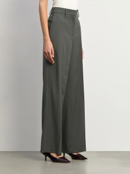 Брюки из костюмной шерсти, D390/fence