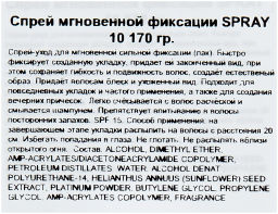 Спрей мгновенной фиксации TRIE SPRAY 10, 170 г мл. - Lebel фото 3