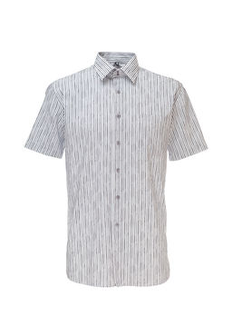 Сорочка мужская короткий рукав GREG Gb313/309/5/Z/2b  фото 4