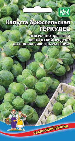 Капуста брюссельская ГЕРКУЛЕС  Невероятно полезный диетический продукт! До 45 кочанчиков на растении!