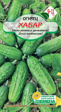Хабар огурец 10 шт (ссс) Р