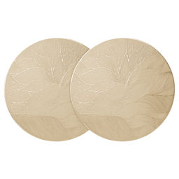 НАБОР ПОДСТАНОВОЧНЫХ САЛФЕТОК ИЗ 2 ШТ., ДИАМЕТР 38 СМ