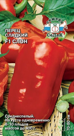 Слон F1 перец сладкий 0,1гр (с)
