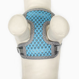 Комплект амуниции с мягкой дышащей шлейкой и круглым поводком 120 х 1 см, голубой - Пижон фото 8