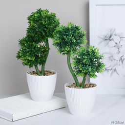 Цветочная композиция Зелень самшит 28 см / 9090-9 /уп 9/72/ - Галеонтрейд фото 8