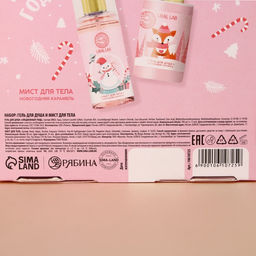 Подарочный набор новогодний URAL LAB Рождественская почта: гель для душа 100 мл и мист для тела 88 мл