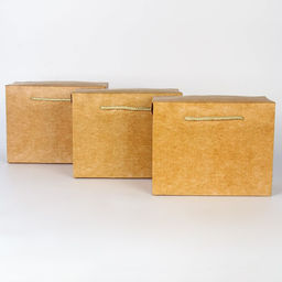 Набор пакетов—коробок «крафтовых», 23 × 18 × 11 см