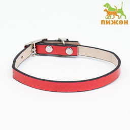 Ошейник лаковый Радуга, 30 х 1 см, разноцветный