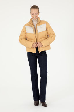 Kad_n Camel Mont