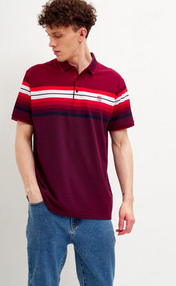 Футболка-поло мужская в полоску F311-07-601 бордовая