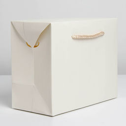 Пакет—коробка, подарочная упаковка, «Белый», 28×20×13 см