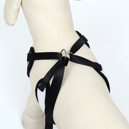 Комплект с мягкой шлейкойи бантиком Клетка, L, поводок 120 x 1,5 см, ОГ 35-50 см, чёрный 96837 - Пижон фото 4