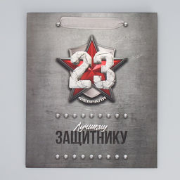 Цена за 2 шт. Пакет подарочный ламинированный, упаковка, С 23 февраля, ML 23?27?11.5 см