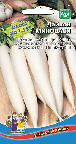Дайкон МИНОВАСИ Не уходит в стрелку! Вкус деликатесный, массой до 1 кг! Помогает при болезнях почек, печени, угнетает вредную микрофлору в кишечнике!