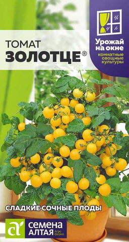 Томат Золотце/Сем Алт/цп 0,05 гр. УРОЖАЙ НА ОКНЕ! - Семена алтая фото 2