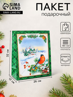 Цена за 2 шт. Пакет подарочный новогодний ламинированный «У Ёлочки », 26×32×12 см