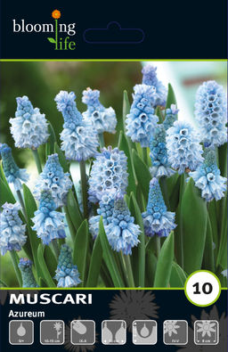 5a054b7cb4a11312701cdf98a804b19eecuw71o4b6m9wjv09h