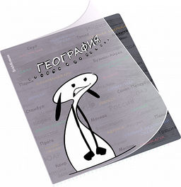 Цена за 5 шт. Тетрадь общая ученическая с пластиковой обложкой на скобе ErichKrause Чубрик, География, 48 листов, клетка