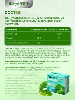 Гинкго Билоба + Глицин + Витамин В6 BioForte капсулы 30 шт.