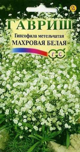 Гипсофила Махровая Белая метельчатая 0,1г (г)