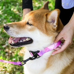 Набор Нежность, застёжка - фастекс, поводок 2 м и ошейник 28-46 см - Пушистое счастье фото 10