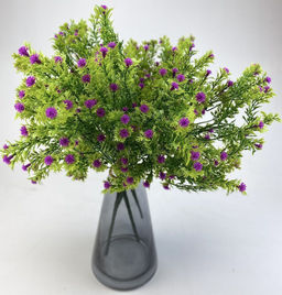 Гипсофила фиолетовая 35 см, декоративное растение