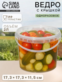 Цена за 100 шт. Ведро одноразовое с крышкой, пластик, 2 л, d=17.3 см, пищевое, прозрачное