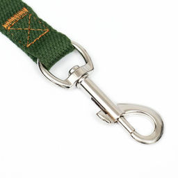 Поводок брезентовый, 3 м х 2 см, хаки - Пижон фото 2