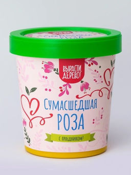 Набор подарочный для выращивания "Сумасшедшая роза"