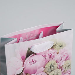 Цена за 3 шт. Пакет подарочный ламинированный, упаковка, «Радости!», S 12×15×5.5