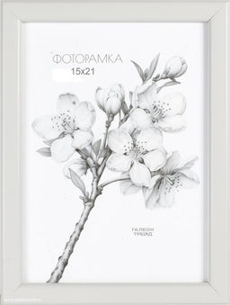 Фоторамка 15x21 / 1503-015 /уп10
