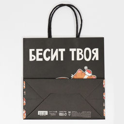 Пакет подарочный новогодний «Рожа», 22 х 22 х 11 см