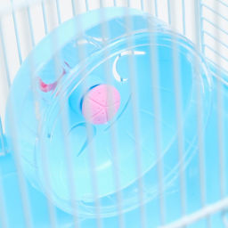 Клетка для грызунов Пижон, двухэтажная с наполнением 31 х 24 х 29 см, голубая  фото 8