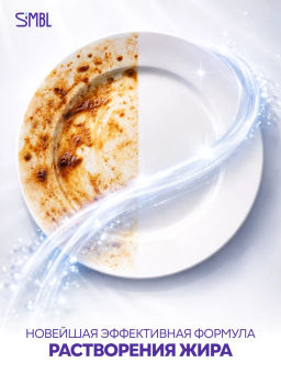 SIMBL ср-во д/мытья посуды 450мл Дикие ягоды