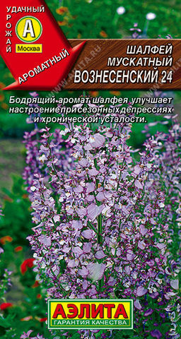 1087A Шалфей мускатный Вознесенский 24 0,2гр
