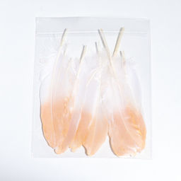 Перья для декора, золото , частичная окраска 13-15 см 10 шт - UPAK LAND фото 5