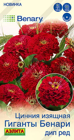 2032A Цинния Гиганты Бенари дип ред 7шт
