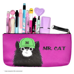 Пенал школьный Феникс+, арт.62096/ 24 КОТ В КЕПКЕ  фото 4