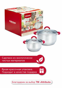 Набор кастрюль DELICE 2шт (3.3л+5.8л)